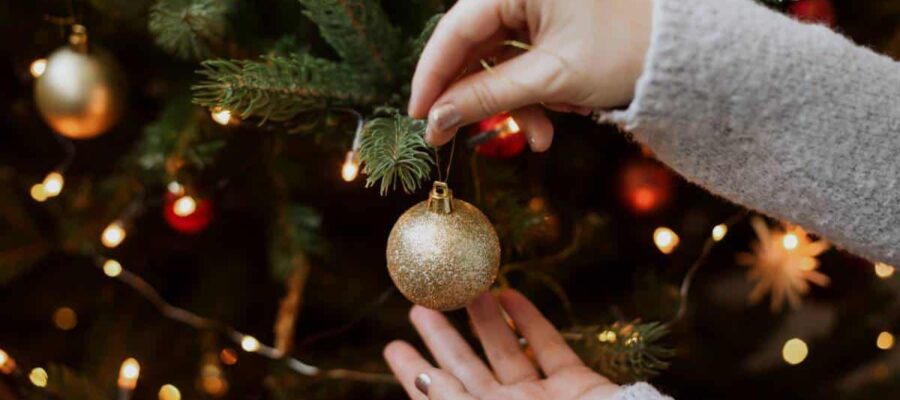 ¿Cuándo es el mejor momento para comprar tu árbol de Navidad?