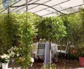 Diseño de Jardines Pequeños: Maximiza el Encanto en Espacios Limitados